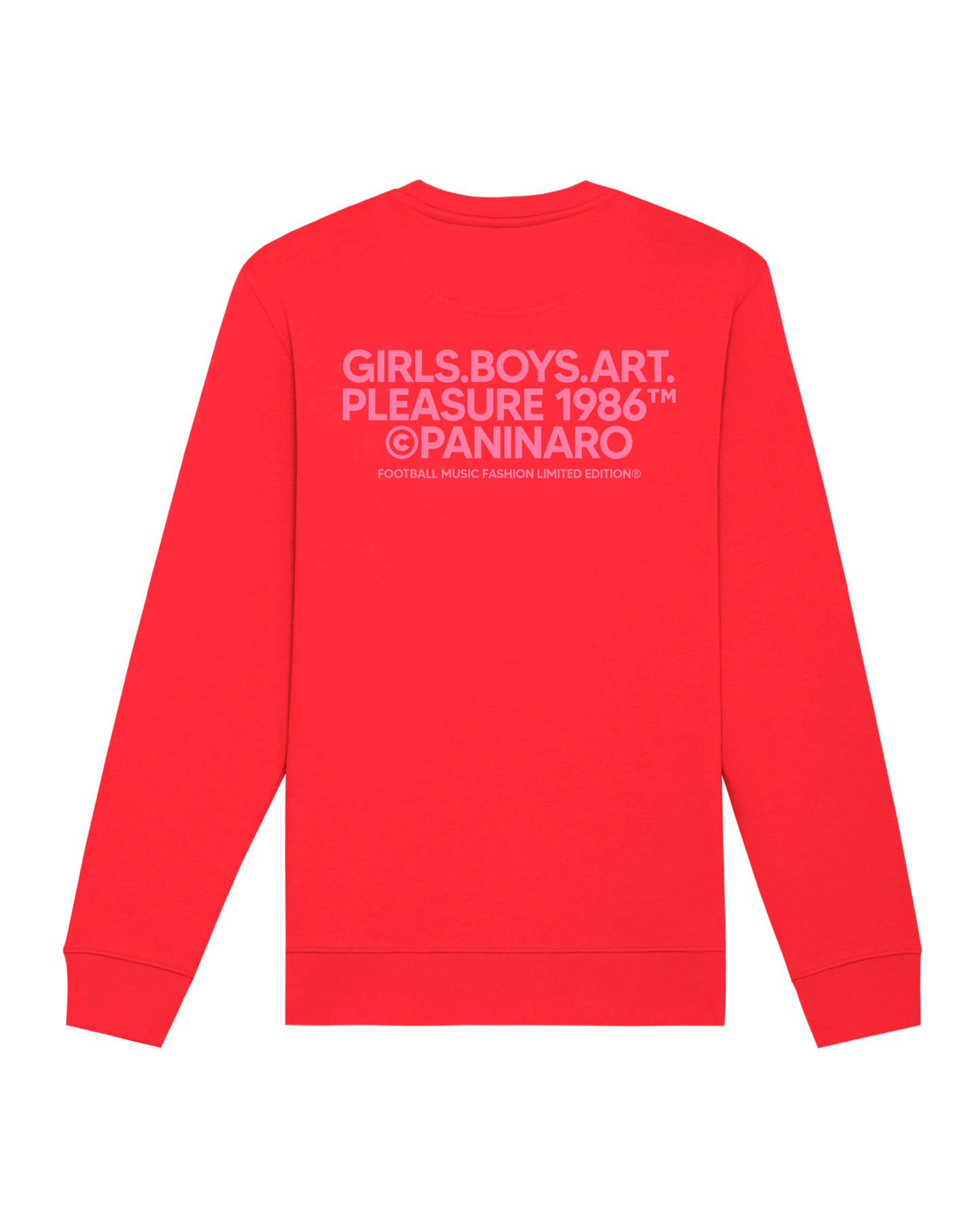 
                  
                    GIRLS BOYS ART PLEASURE - RED SWEATSHIRT
                  
                